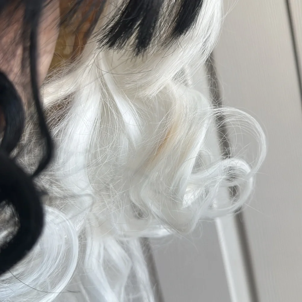 Chic Two-Tone Black and White Curly Wig - Picture 7 of 8